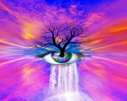 The Reality of Awakening